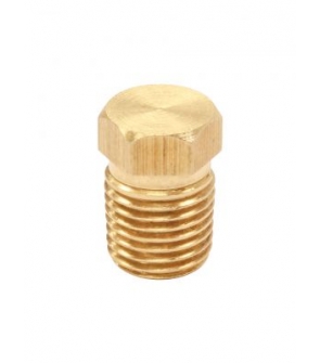 PLUG (BRASS) : ¼" MNPT