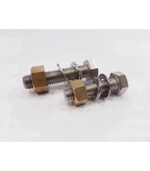 BOLT SS , SPRING WASHER,FLAT WASHER & BRASS NUT  :  ½" X 3"