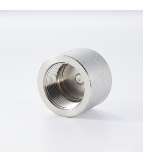 CAP (SS304)  : 1½" NPT